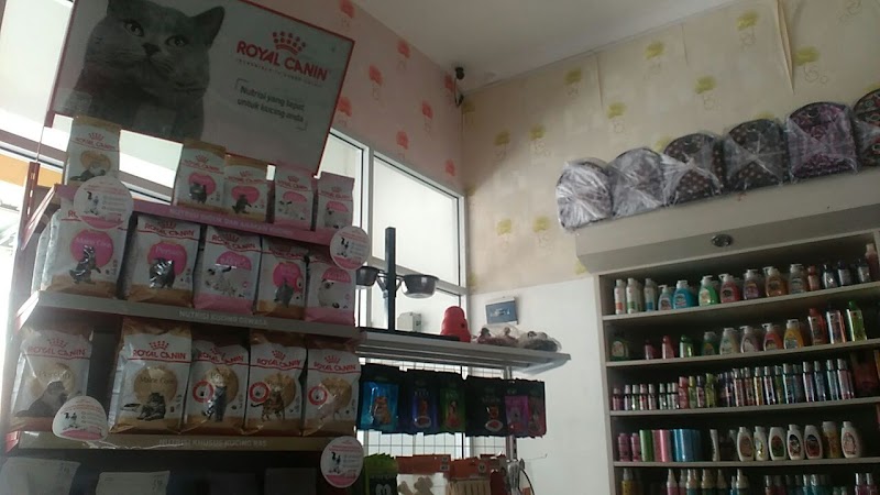 Royal Pet Shop: Teman Setia Peliharaan di Jantung Cilacap